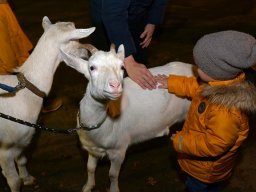 Příjezd sv. Martina 2022